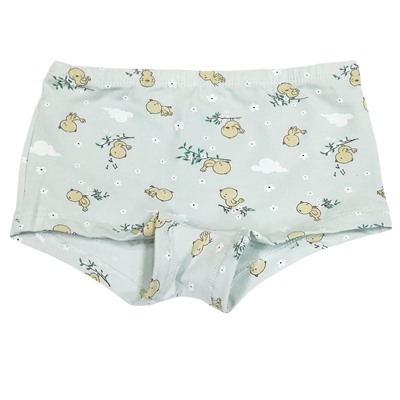 5664 Трусы шорты для девочек многоцвет (BAYKAR)