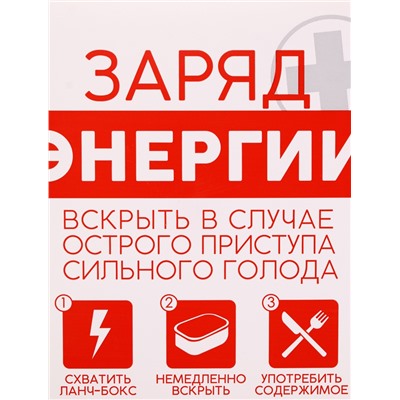 Ланч - бокс «Заряд энергии», 1200 мл