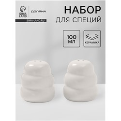 Набор для специй Доляна «Зефир», солонка, перечница, 100 мл, керамика, белый