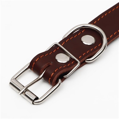 Ошейник кожаный на синтепоне, безразмерный, 65×3 см, ОШ 22-55 см, коричневый