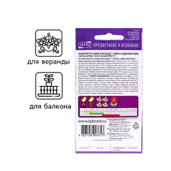 Семена цветов Катарантус ампельный "Кора каскад смесь F1", 5 шт