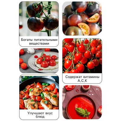 Семена Томат "Черный Мавр", 0,1 г