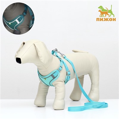 Комплект с мягкой шлейкой, быстросъемный, M, поводок 140 см, ОШ 44-48 ОГ 51-60 см, бирюзовый