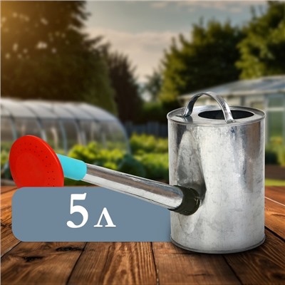 Лейка, 5 л, с рассеивателем, оцинкованная, без рисунка, носик d = 25 мм