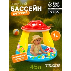 Бассейн надувной «Гриб», 102×89 см, от 1-3 лет, 57114NP INTEX