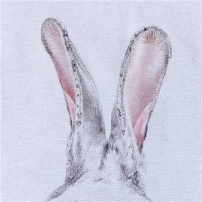 Постельное бельё 1.5-спальное «Этель. Кролик», бязь