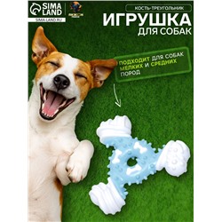 Игрушка для собак «Кость-треугольник», 12 см, двухслойная, твёрдый и мягкий пластик, 12 см, голубая