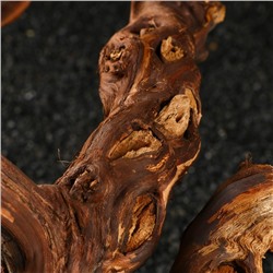 Коряга для аквариума «Лоза виноградная», 40 - 50 см