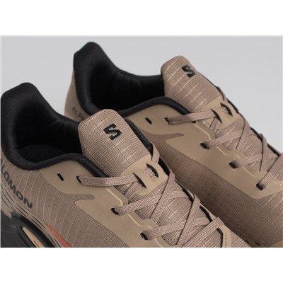 Кроссовки Salomon Alphacross 5 GTX