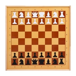 Шахматы демонстрационные, магнитные, 73×73 см