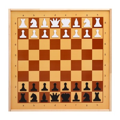 Шахматы демонстрационные, магнитные, 73×73 см