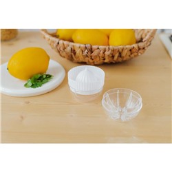 Соковыжималка для цитрусовых с лотком и крышкой Доляна, d=7.5 см, 7×8 см, МИКС