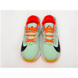Кроссовки Nike Pegasus Trail 2