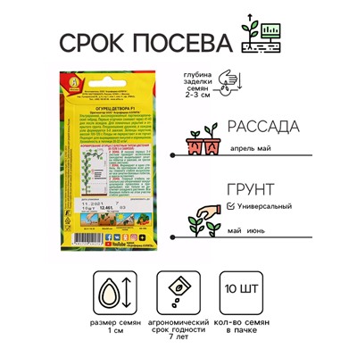 Семена огурца "Детвора", F1, 10 шт.