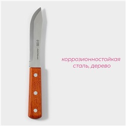 Нож для мяса и стейков Доляна «Мачете», лезвие 10 см