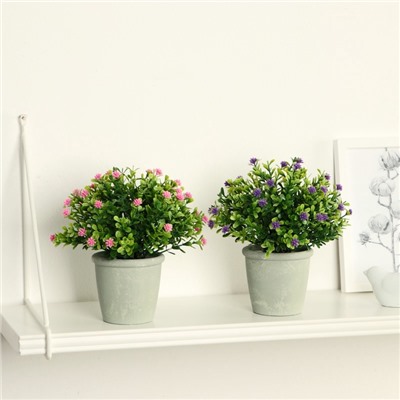 Искусственный цветок в горшке «Цветочная симфония», 8×17 см, МИКС