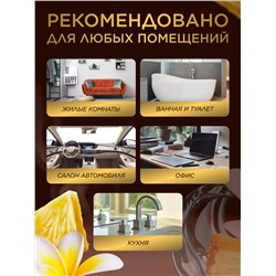 Парфюмированный интерьерный спрей «Тропический бриз»