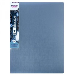 Папка пластиковая 2 кольца "Trend ICEberries" 700мкм 25 мм голубика EC211320071 Expert Complete