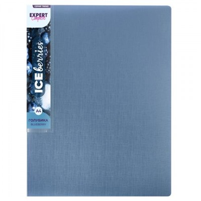 Папка пластиковая 2 кольца "Trend ICEberries" 700мкм 25 мм голубика EC211320071 Expert Complete