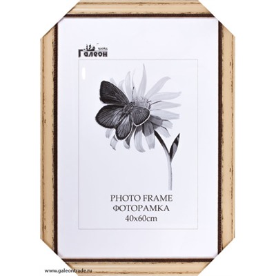 Фоторамка 40х60 / 4205С-213А /