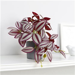 Искусственный цветок в горшке «Традесканция галант», 7.5×17 см