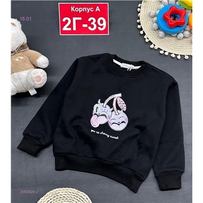 кофта с начесом 2050824-2