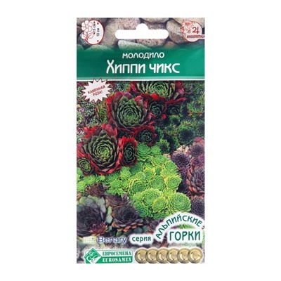 Семена молодило «Хиппи Чикс», 5 шт.