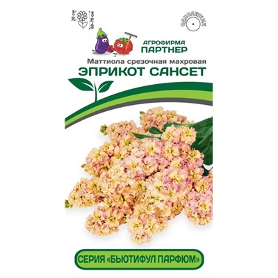 3324P Маттиола срезочная махровая "Бьютифул Парфюм"  ЭПРИКОТ САНСЕТ 10 шт