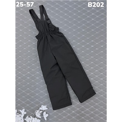 Брюки B202 чёрный