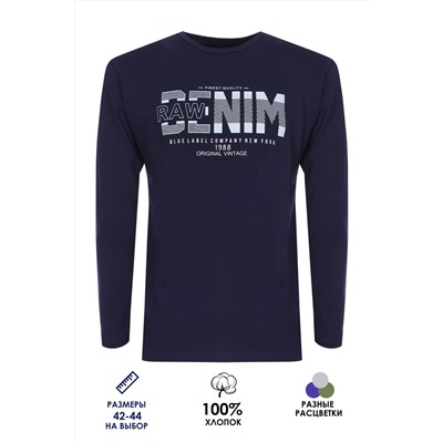 Футболка подростковая с длинным рукавом ФН171-1 Denim