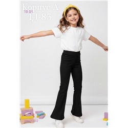 штаны 2053030-2