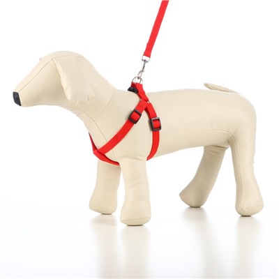 Комплект «Базис», поводок 120×1.5 см, шлейка 32-46×1.5 см, красный