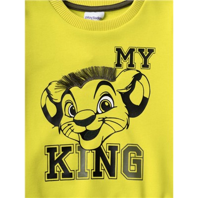 Толстовка трикотажная для мальчиков