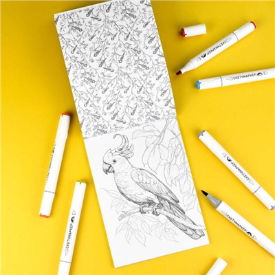 Раскраска 140х200 мм 16л "Раскраска для скетч-маркеров" "ЖИВОТНЫЕ" 72132 Феникс