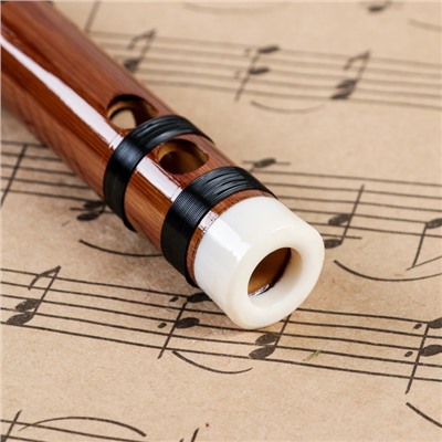 Флейта Music Life 56 см, тональность C