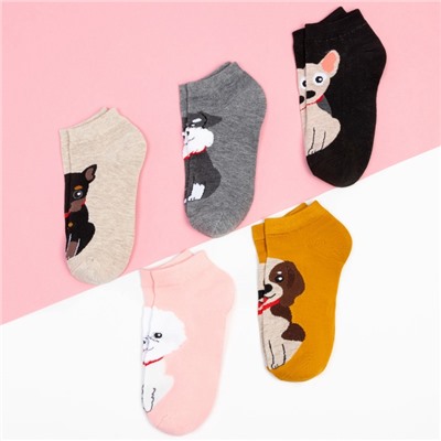 Носки KAFTAN «Ав!», 5 пар, размер 35-38 (24-26 см)