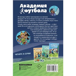 АСТ Андреас Шлютер, Ирене Маргил "Академия футбола. Условия игры меняются"