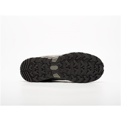 Кроссовки Salomon X Ultra Pioneer