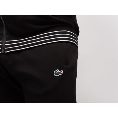 Спортивный костюм Lacoste