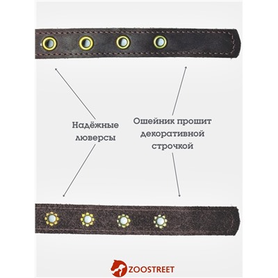 Ошейник безразмерный, 40×2 см, с подпряжником, кожа, коричневый