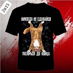 Футболка мужская