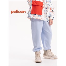 PELICAN Брюки
