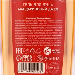 Гель для душа «С Новым Годом», 250 мл, аромат мандаринового джема, Чистое счастье