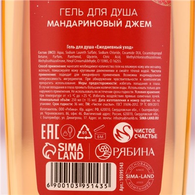 Гель для душа «С Новым Годом», 250 мл, аромат мандаринового джема, Чистое счастье