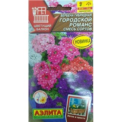 Вербена Городской романс гибр. (Код: 93408)