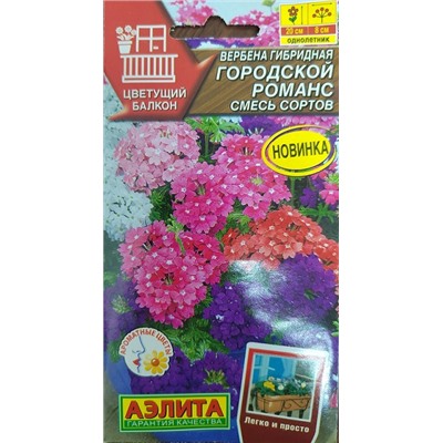 Вербена Городской романс гибр. (Код: 93408)