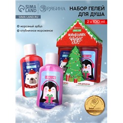 Подарочный набор новогодний «Новогодних чудес», гель для душа 2 шт.×100 мл, URAL LAB