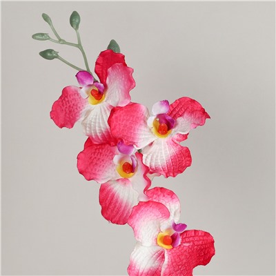 Цветок искусственный Орхидея 66 см 6 цветков / 0341-53 /уп 400/800/А