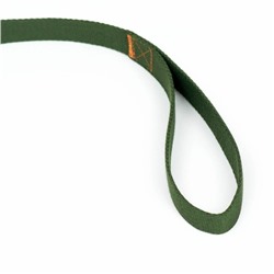 Поводок брезентовый, 10 м × 2.5 см, хаки