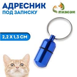 Адресник - капсула под записку, 2.2×1.3 см, металл, синий